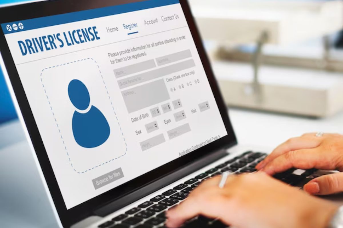 numero dimmatriculation